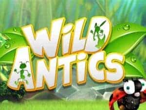 Wild antics slot free play video poker